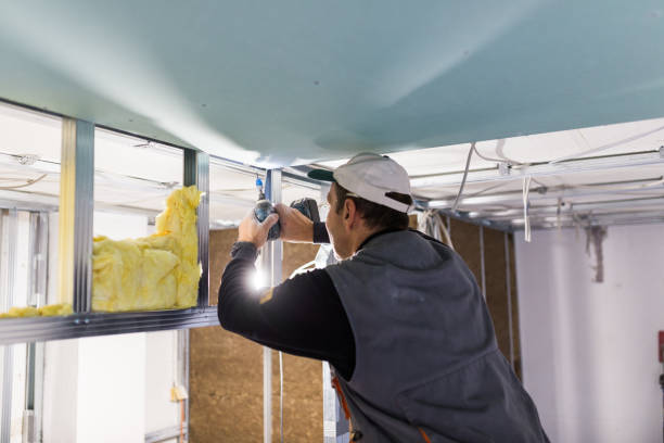 Professional Insulation Contractor in Federal Heights, CO