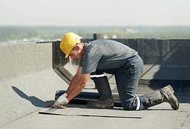Best Eco-Friendly Insulation in Federal Heights, CO