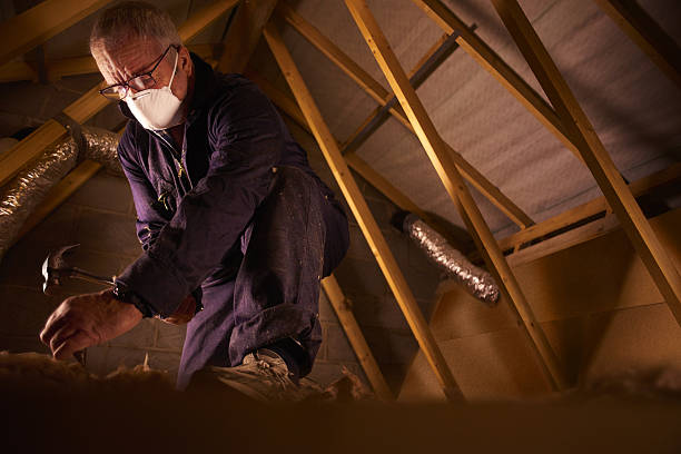 Best Commercial Insulation in Federal Heights, CO